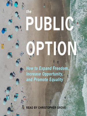 cover image of The Public Option